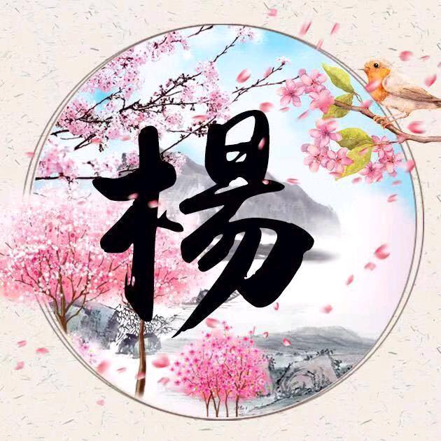 慢病调理艾灸养生