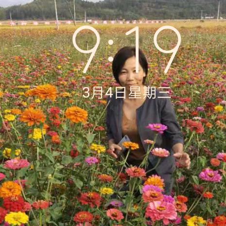 风清阳光
