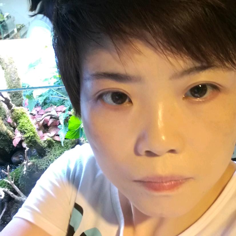 红玫瑰🌹🌹🌹