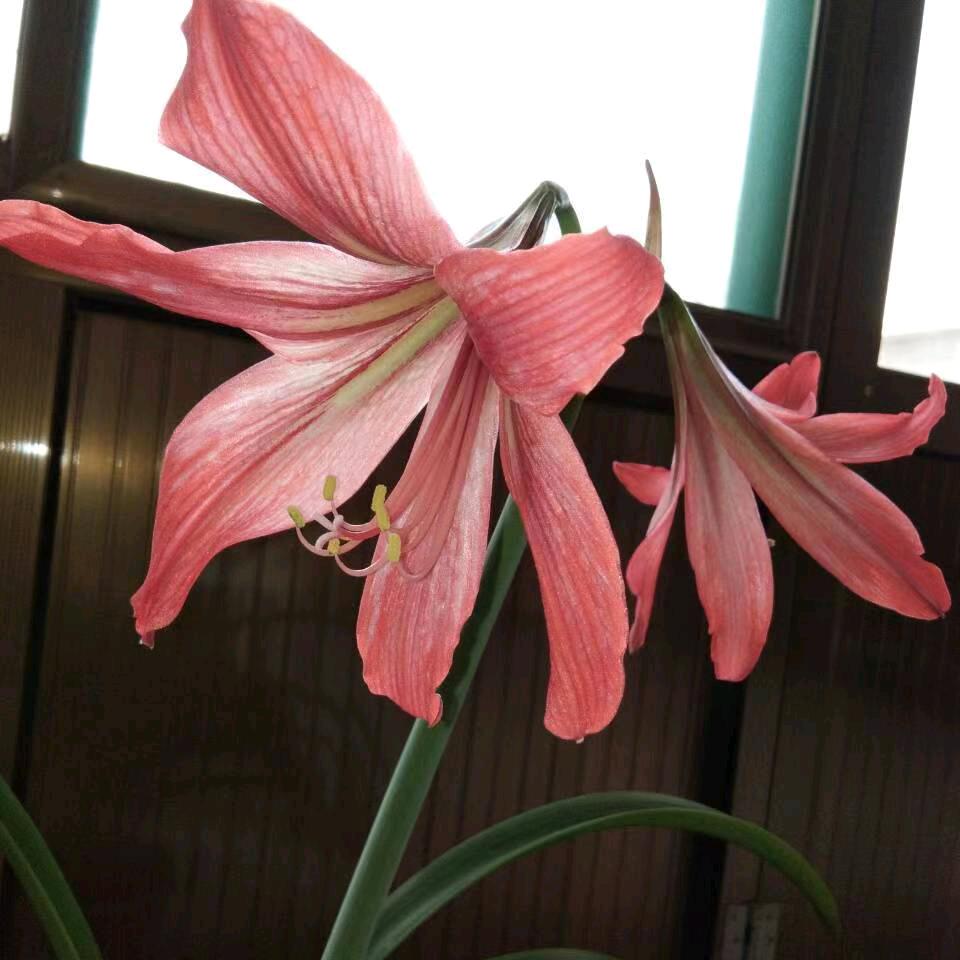 春暖花开🧚‍♀️