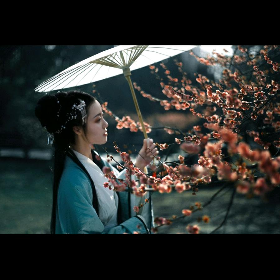 拆废《解》废🚀