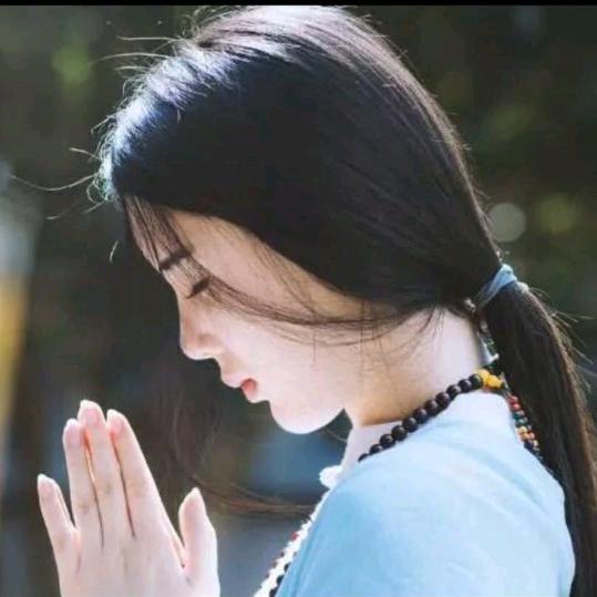 禅系语