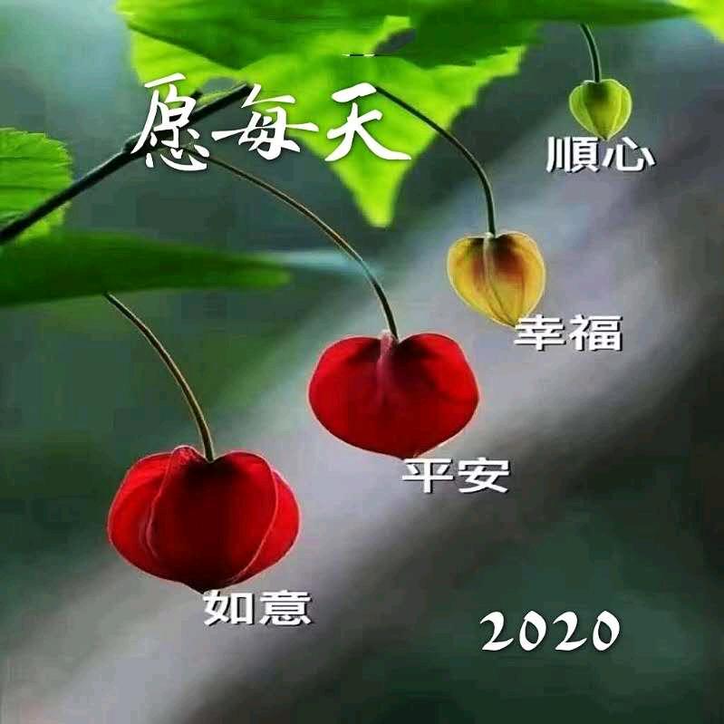 @@They有一种努力叫