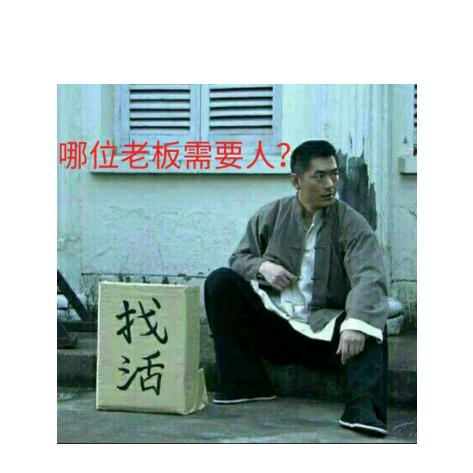 蛋蛋，鱼乐人生