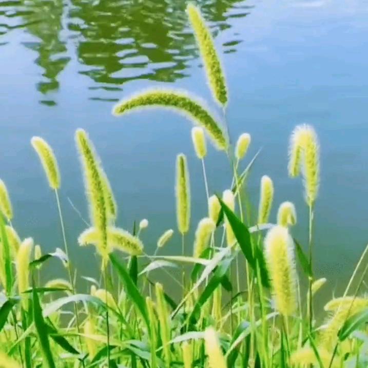 🇨🇳🌟童年的回忆✨❤️