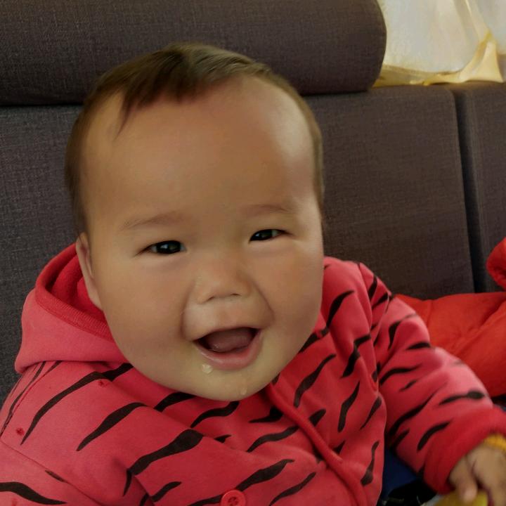 刮大白的小高