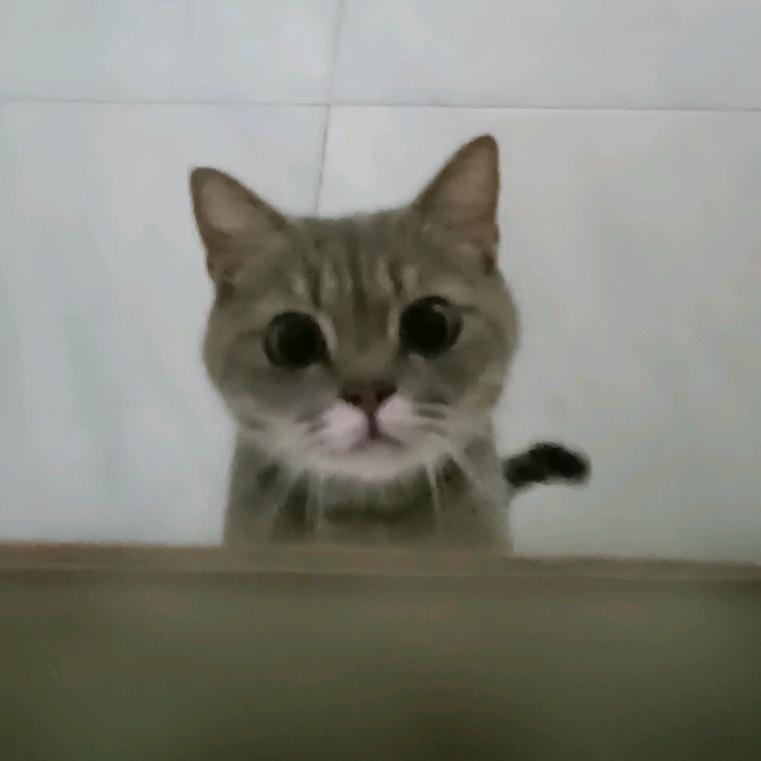 怪我太单纯