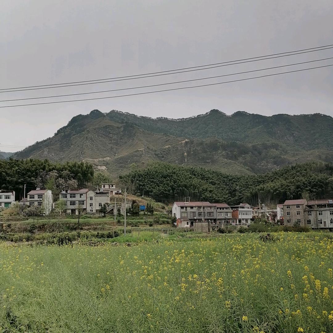 航母