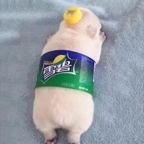一片空白丶