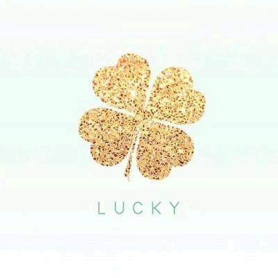 🍀 幸运四叶草🍀