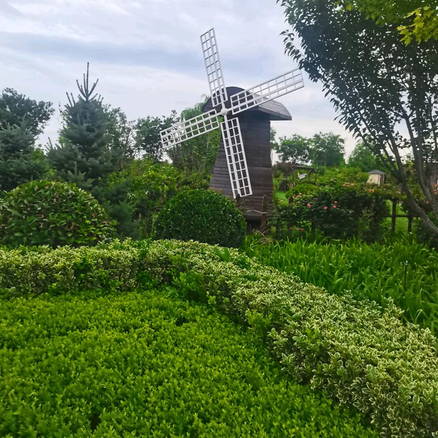 雅琪屹