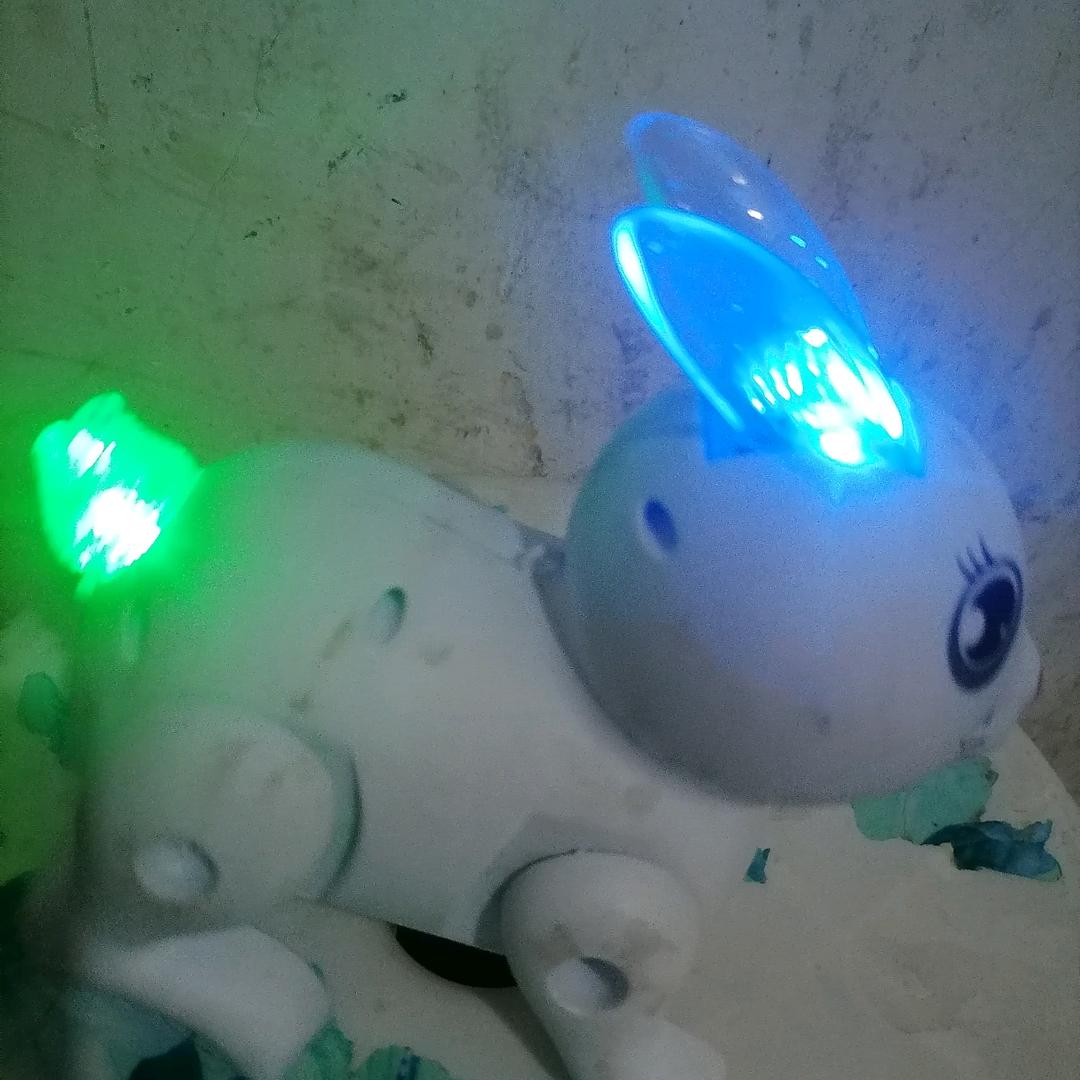 秋天的怀念