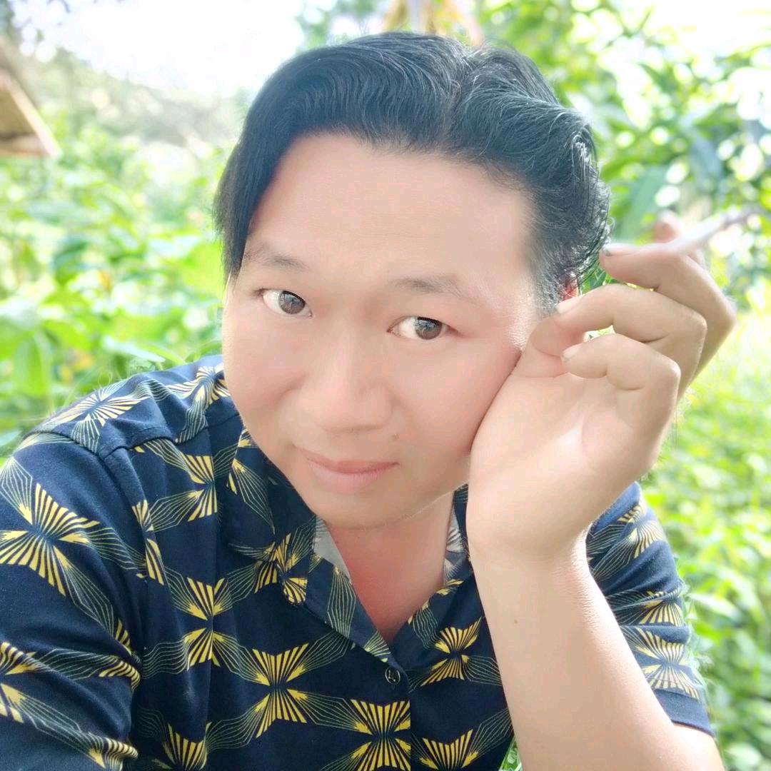 潘龙