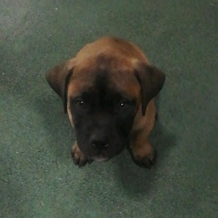 我在天上玩泥巴