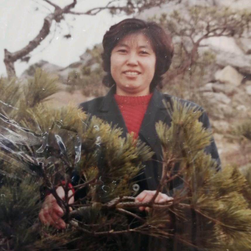 丁香