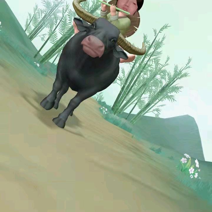 农村小伙实在人