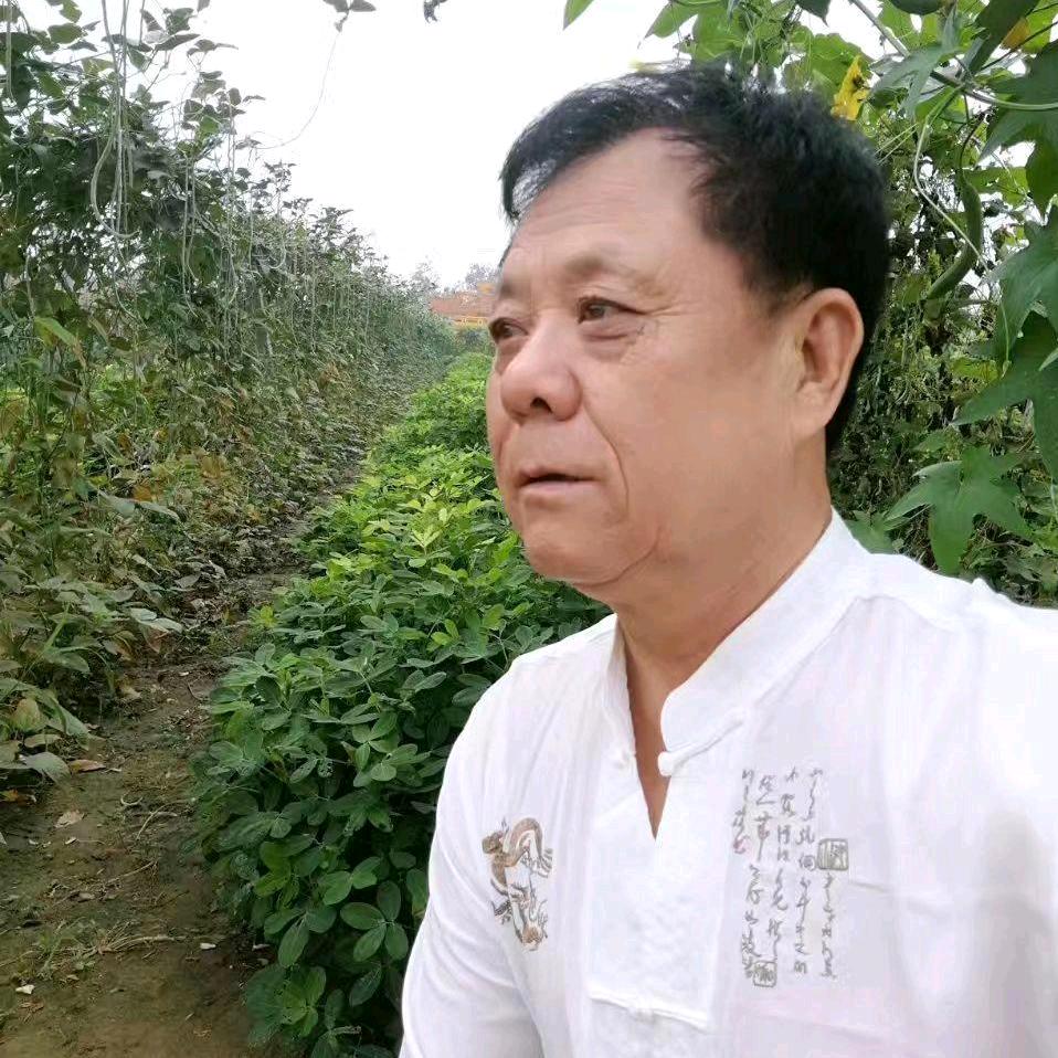 心静如水～老谷