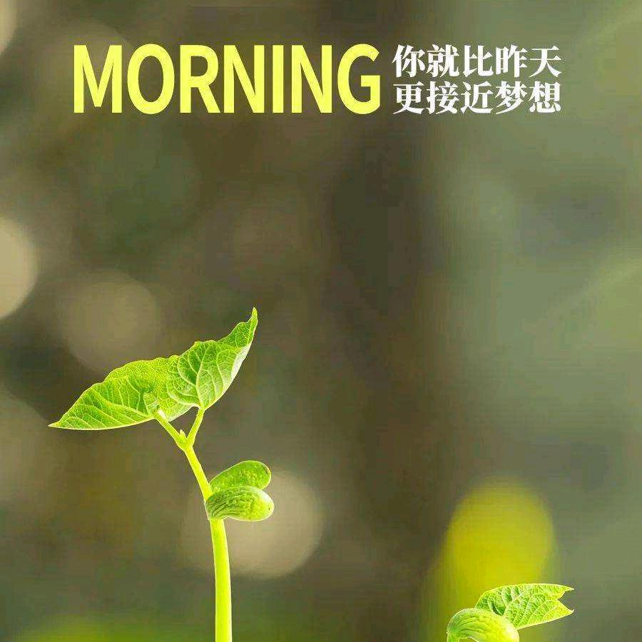 吉祥如意。。
