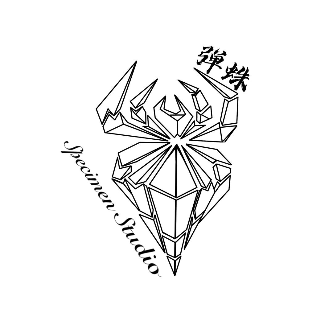 弹蛛标本工作室