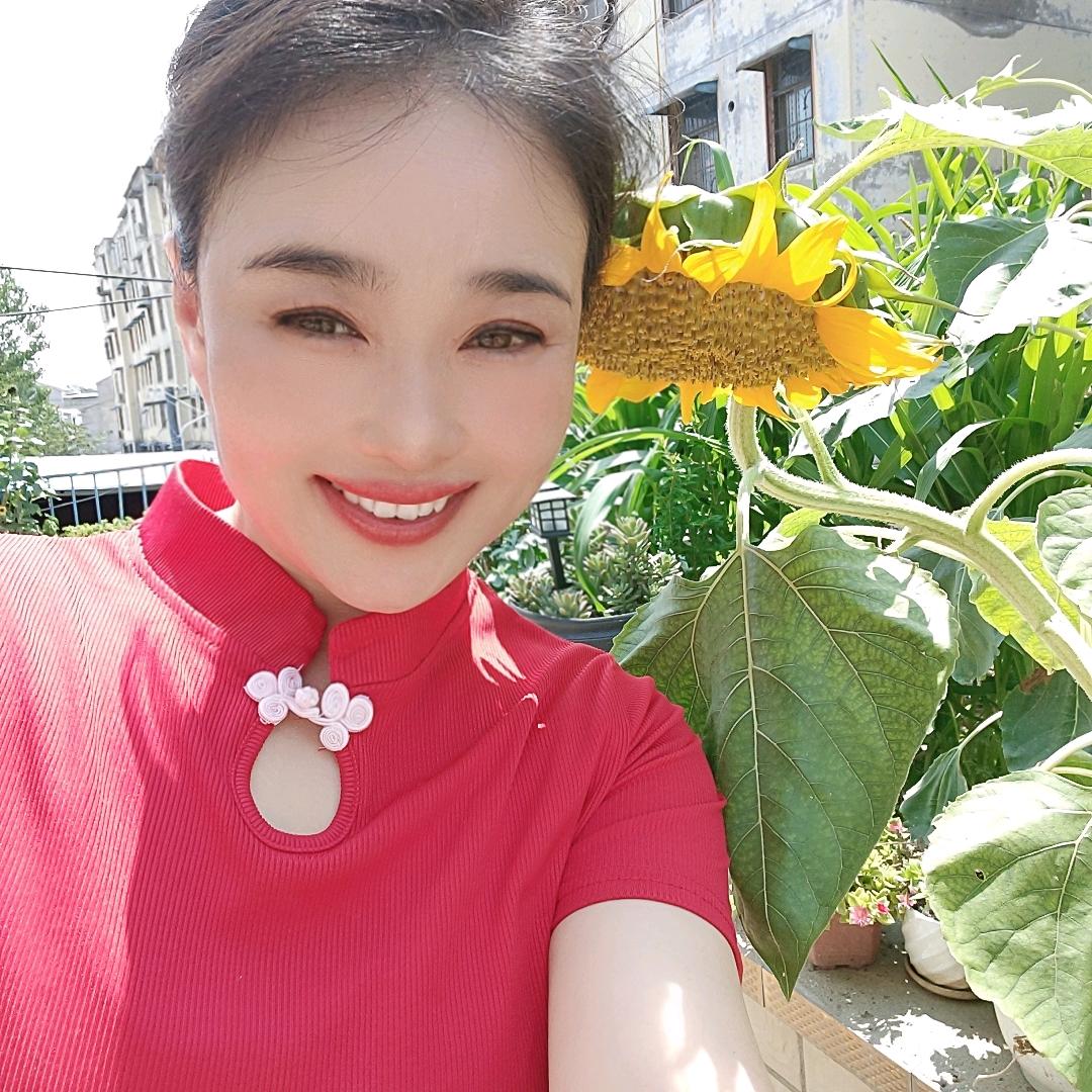 豫东小娘子