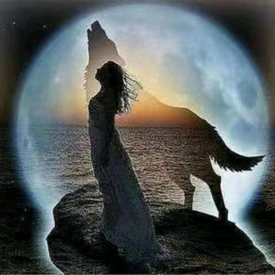 甘肃富堂源药材市场销售