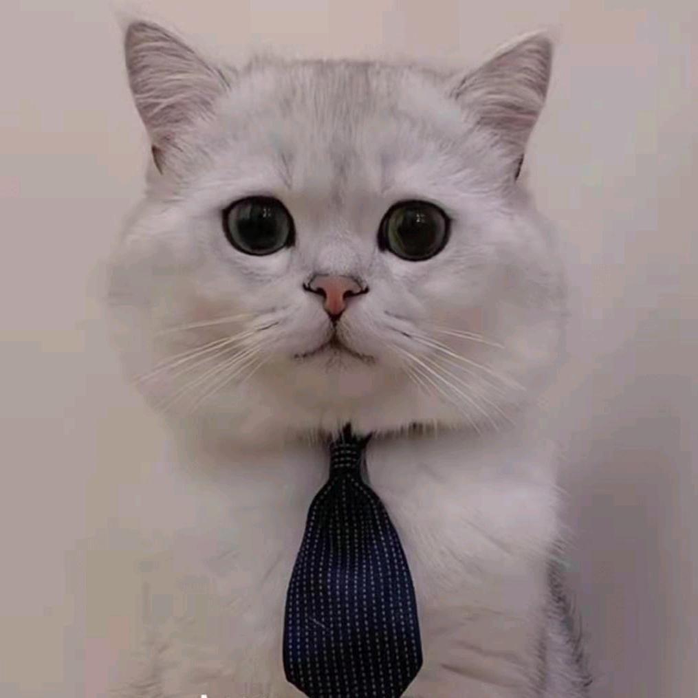 叫我孟先森