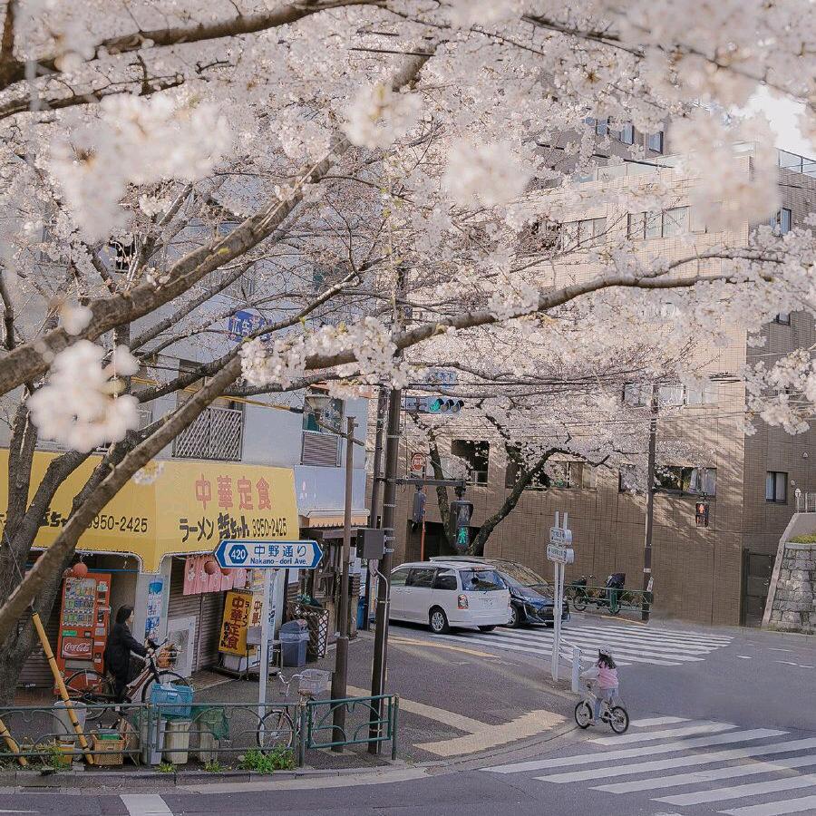 义乌梓林纸袋包装厂