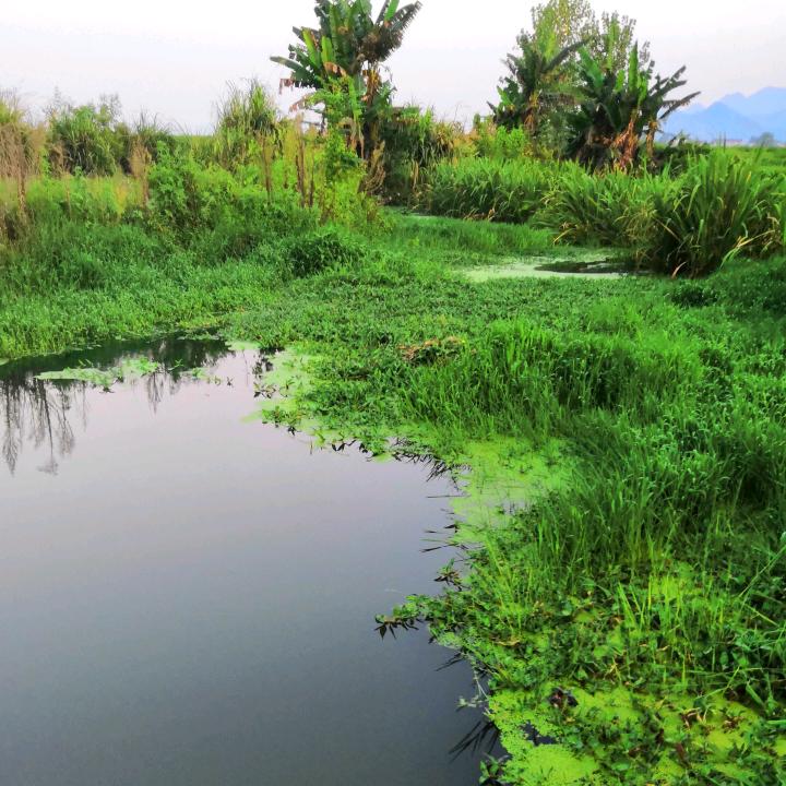 西(*•̀ᴗ•́*)و ̑̑子