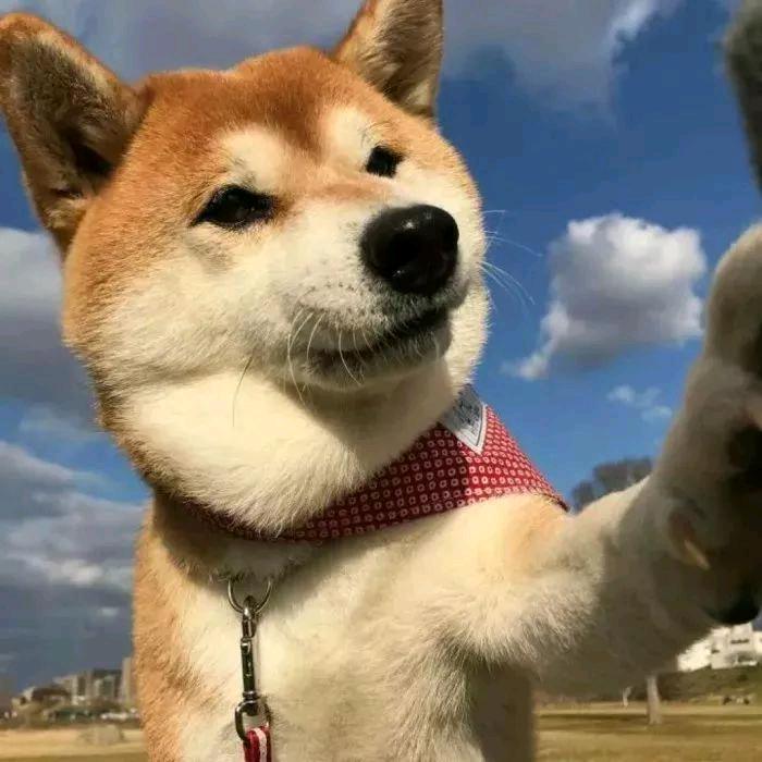元
