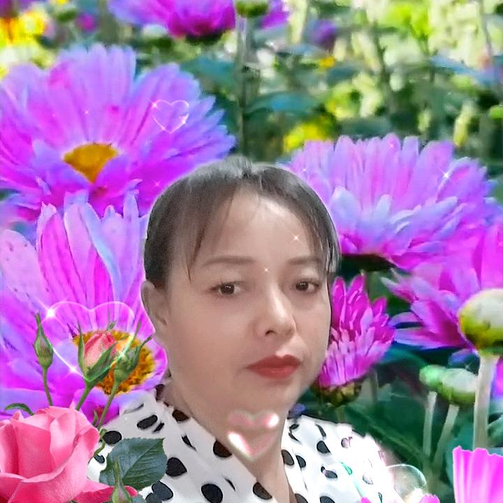 开心快乐陈