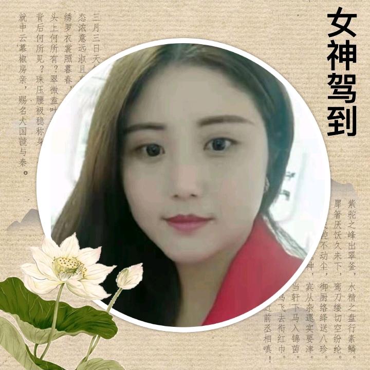 单身自由