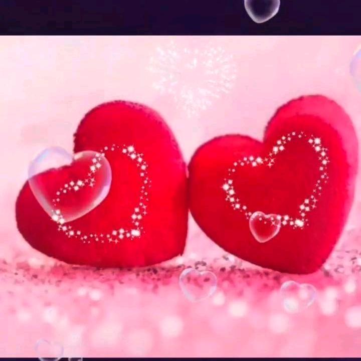 ♥yurak♥