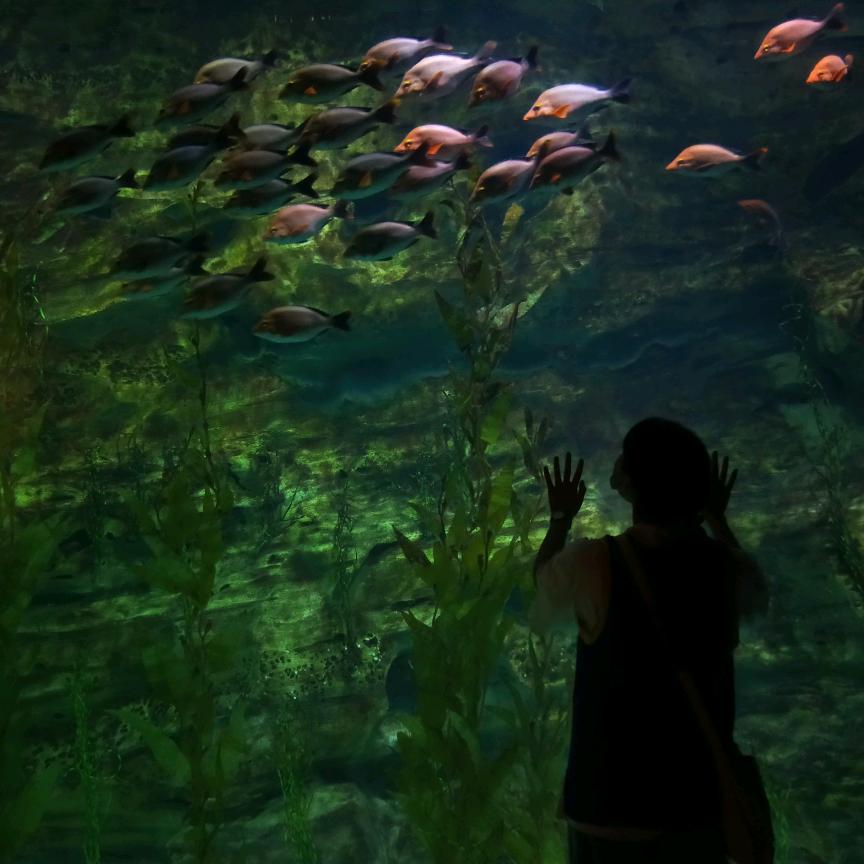 呆瓜发射🚀🚀🚀