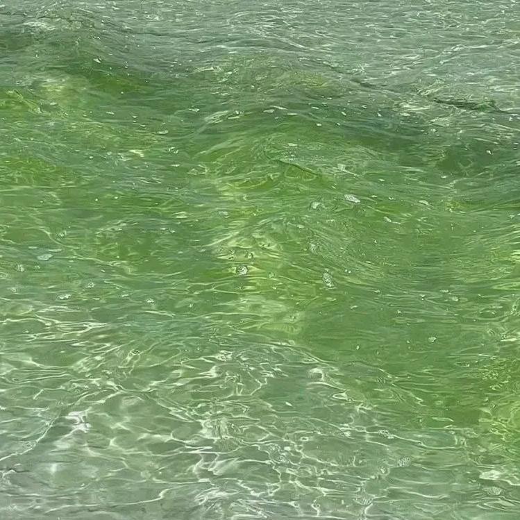 许大爷