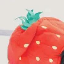 烤肉加菠萝🍍