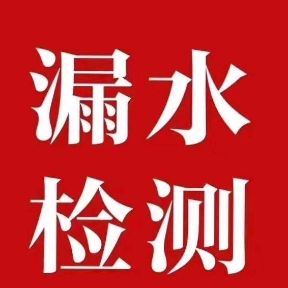 山东王师傅地探检测技术有限公司