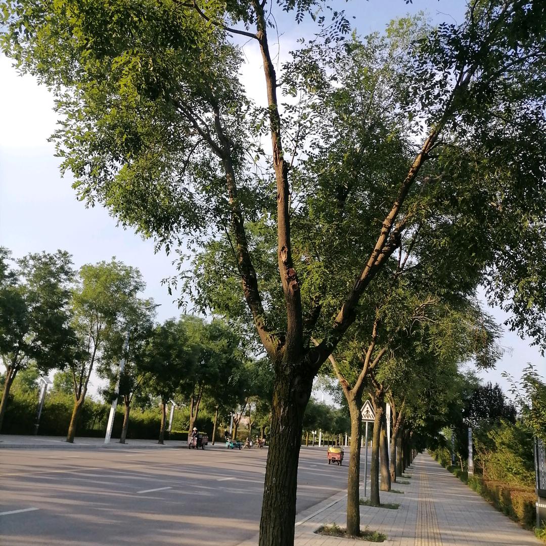 我的世界我做主