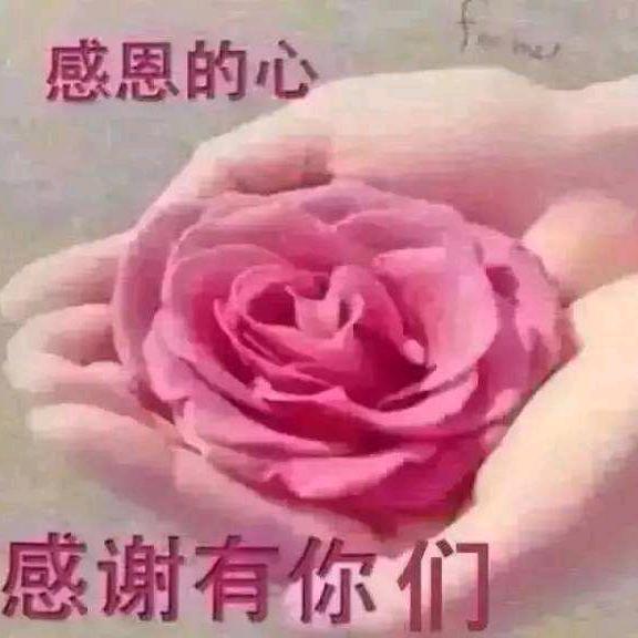 彬彬有礼👏（谢绝连赞）