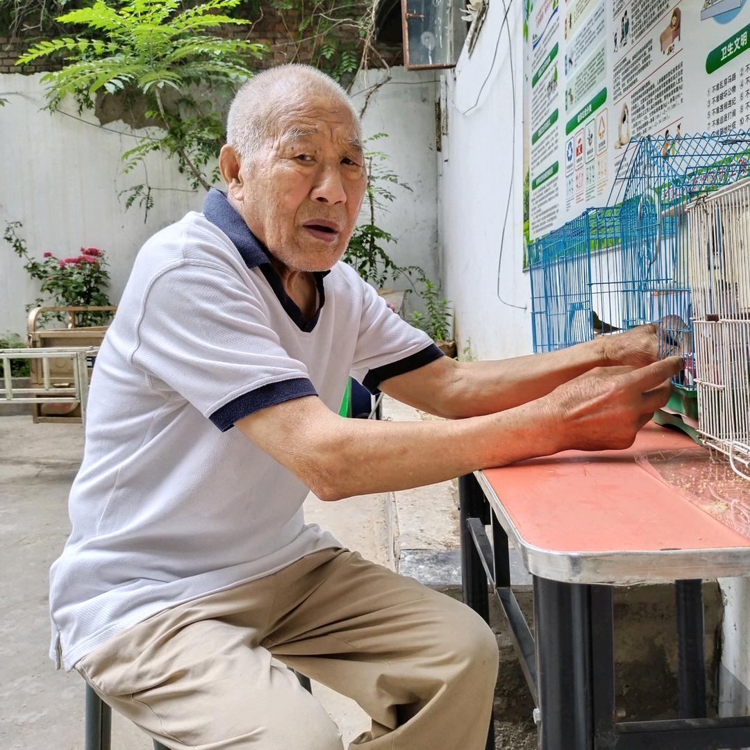 鲁大爷(每天上午10:50l开播)