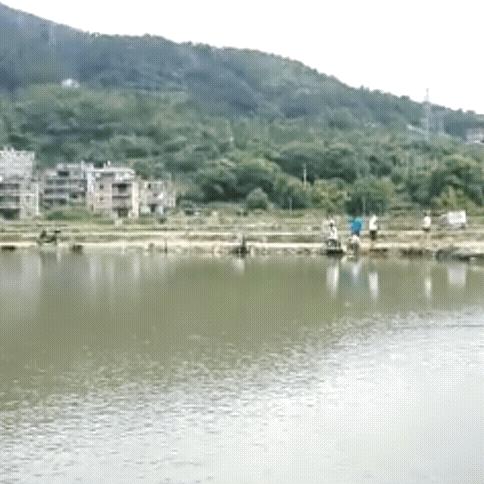 无悔一生