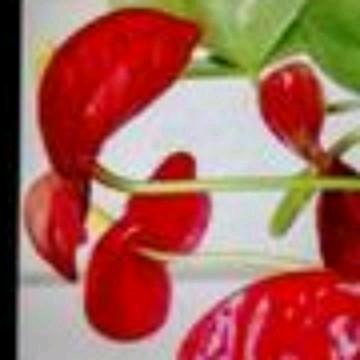 东东爱跳舞