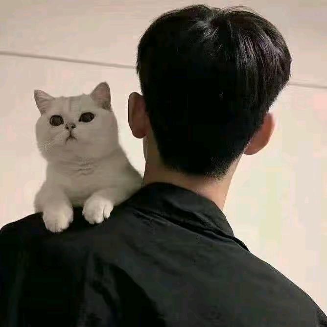 愚爱