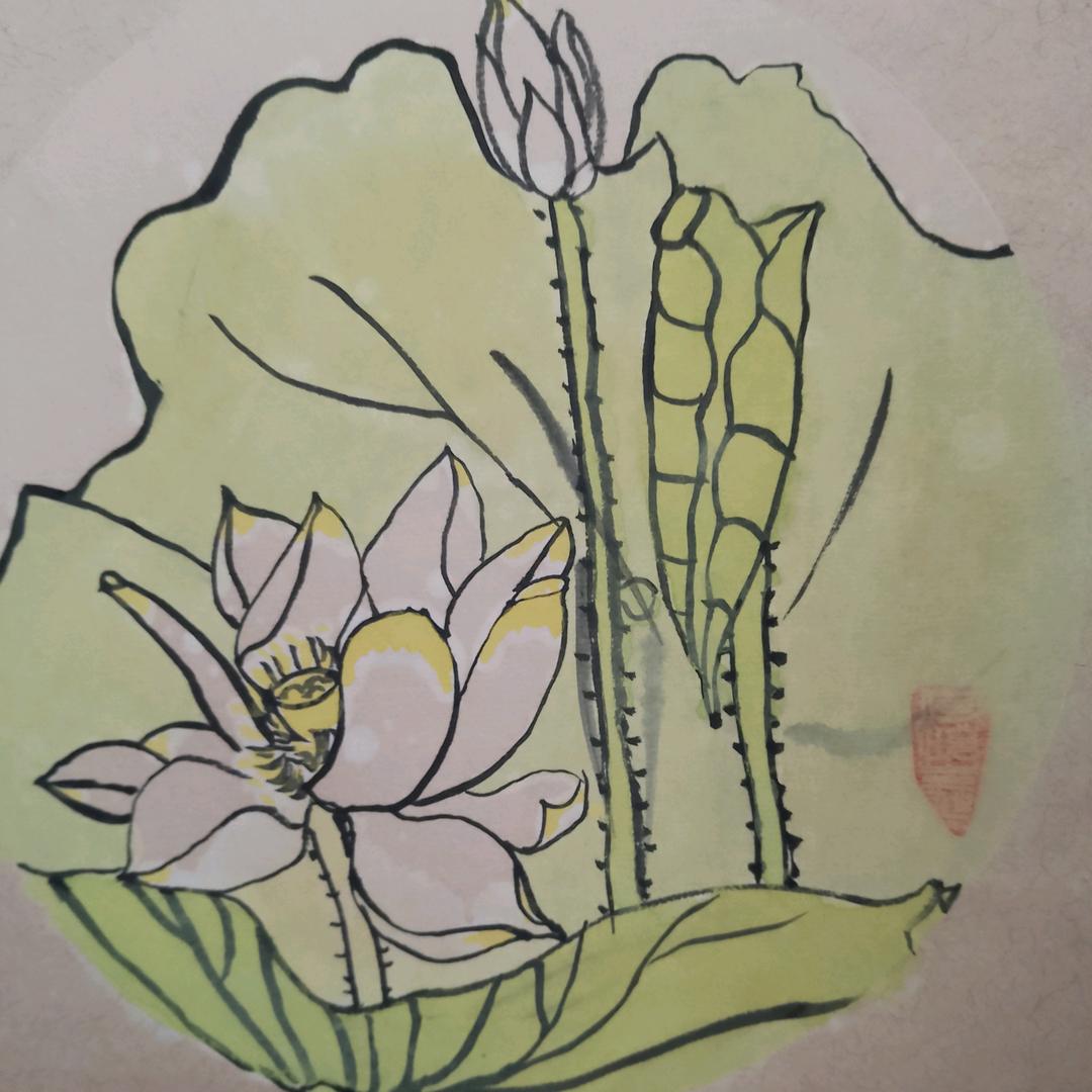 莲花开