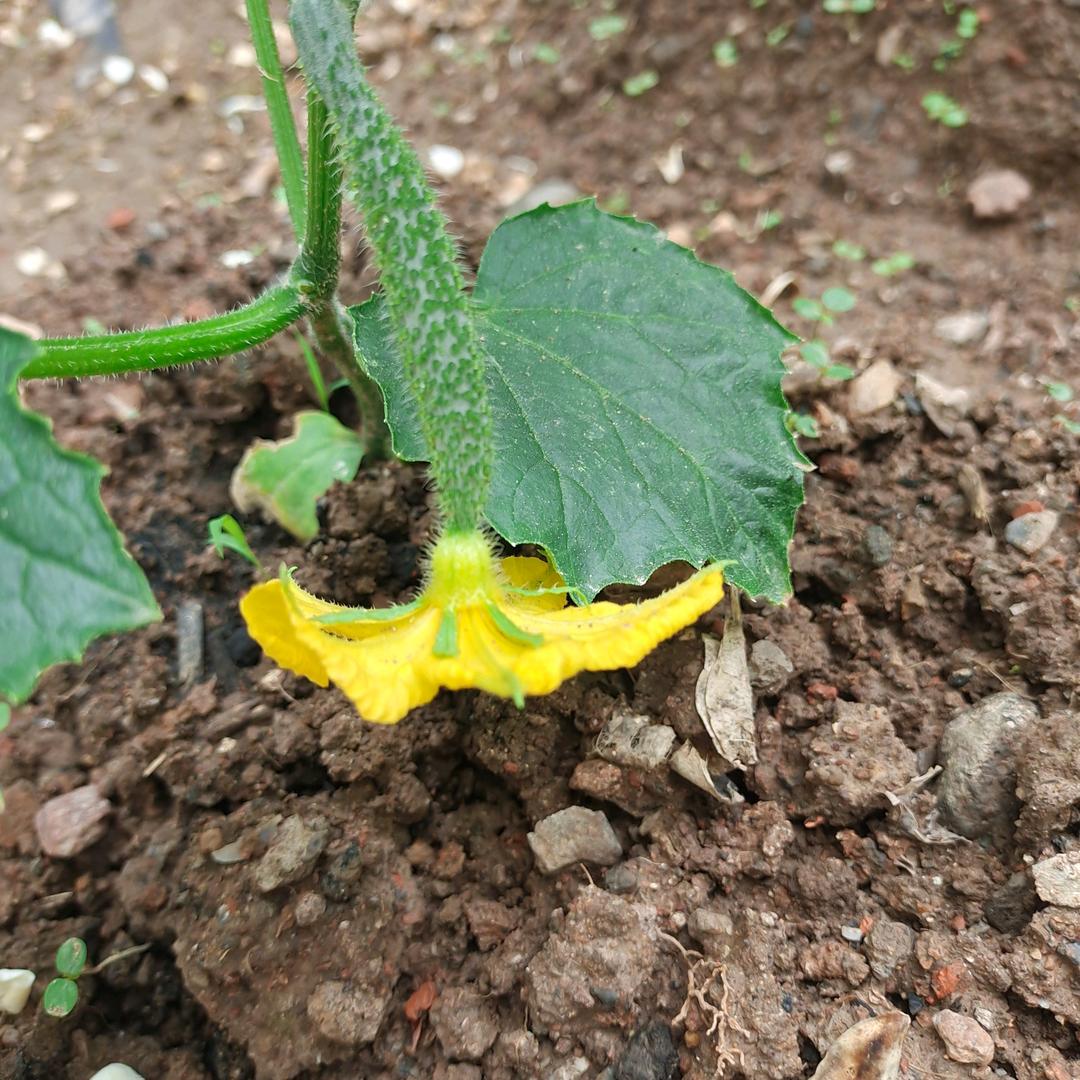 请大家多多关照