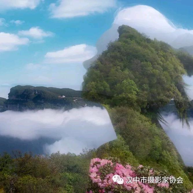 悠悠