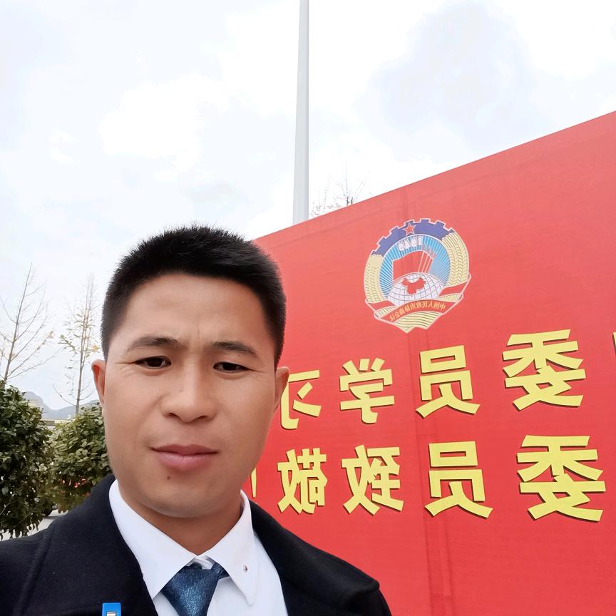 紫云中蜂