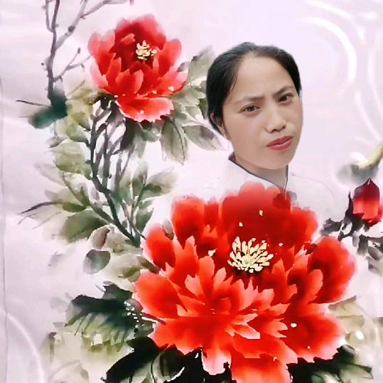 花开富贵小春