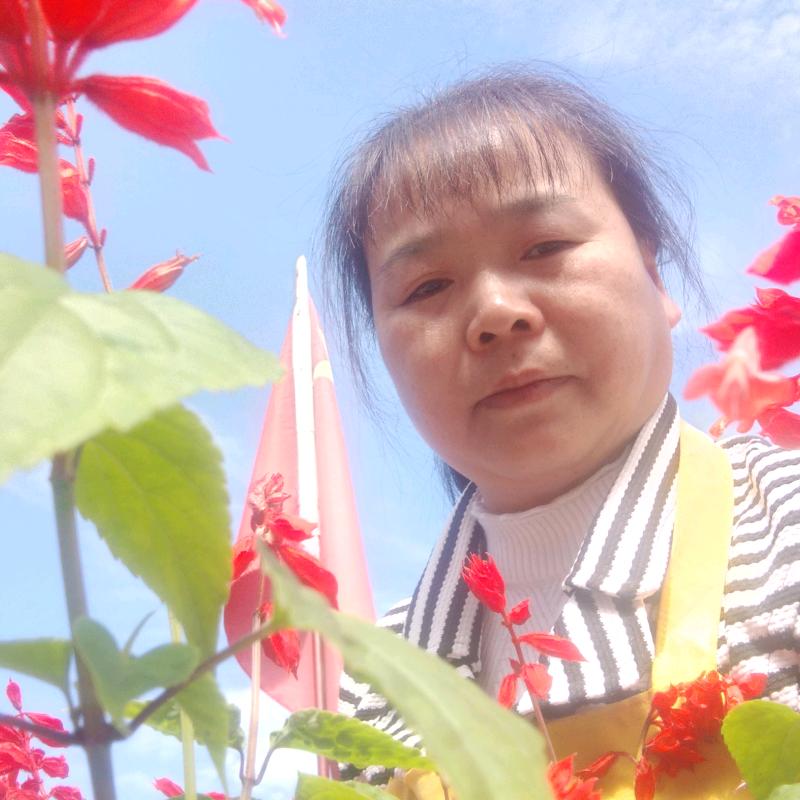 珍