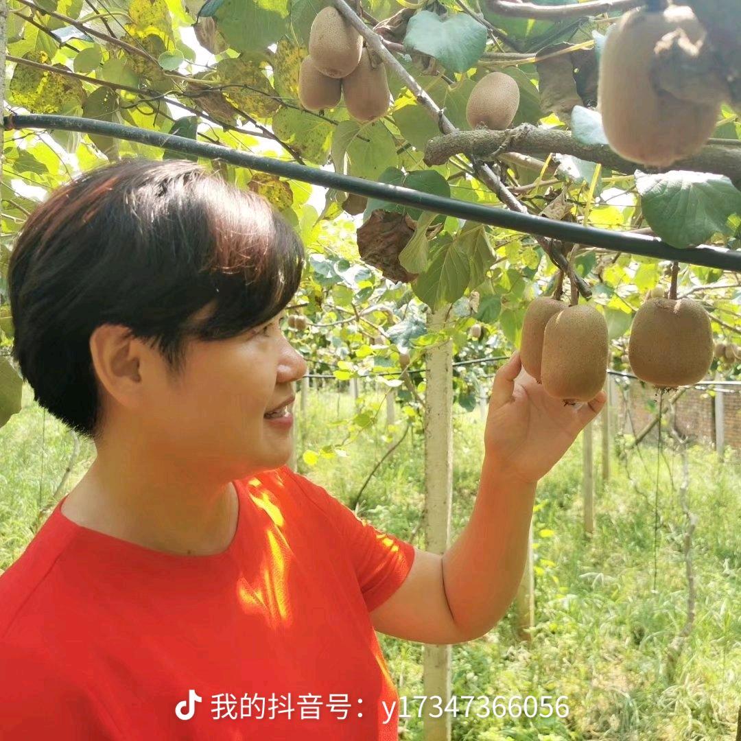 于吉秋