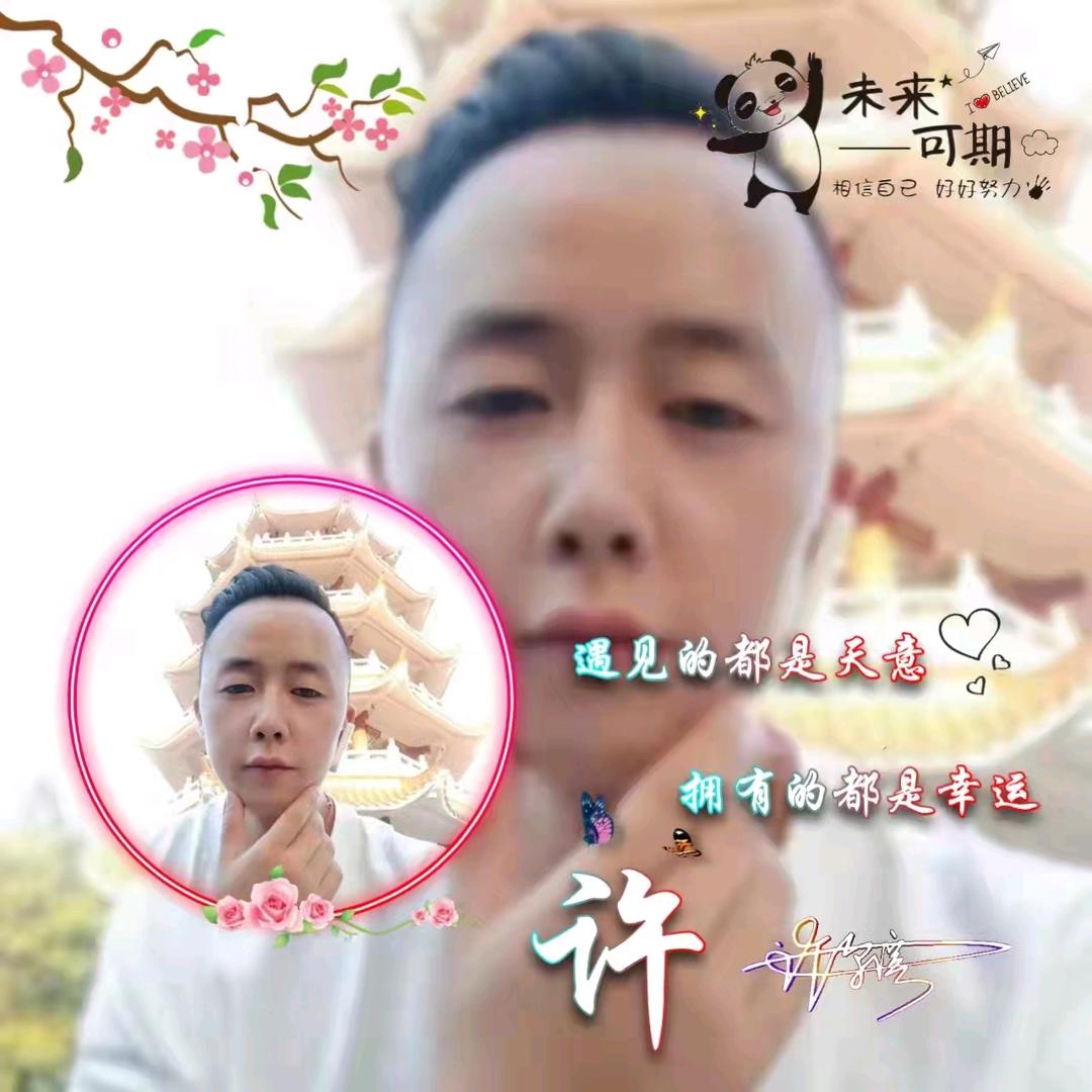 夏叶之星